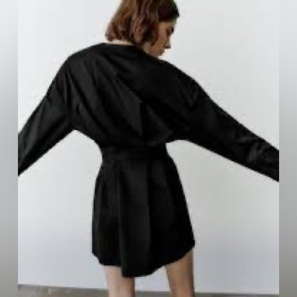 ZARA BOX PLEAT DRESS - Picture 4 of 6